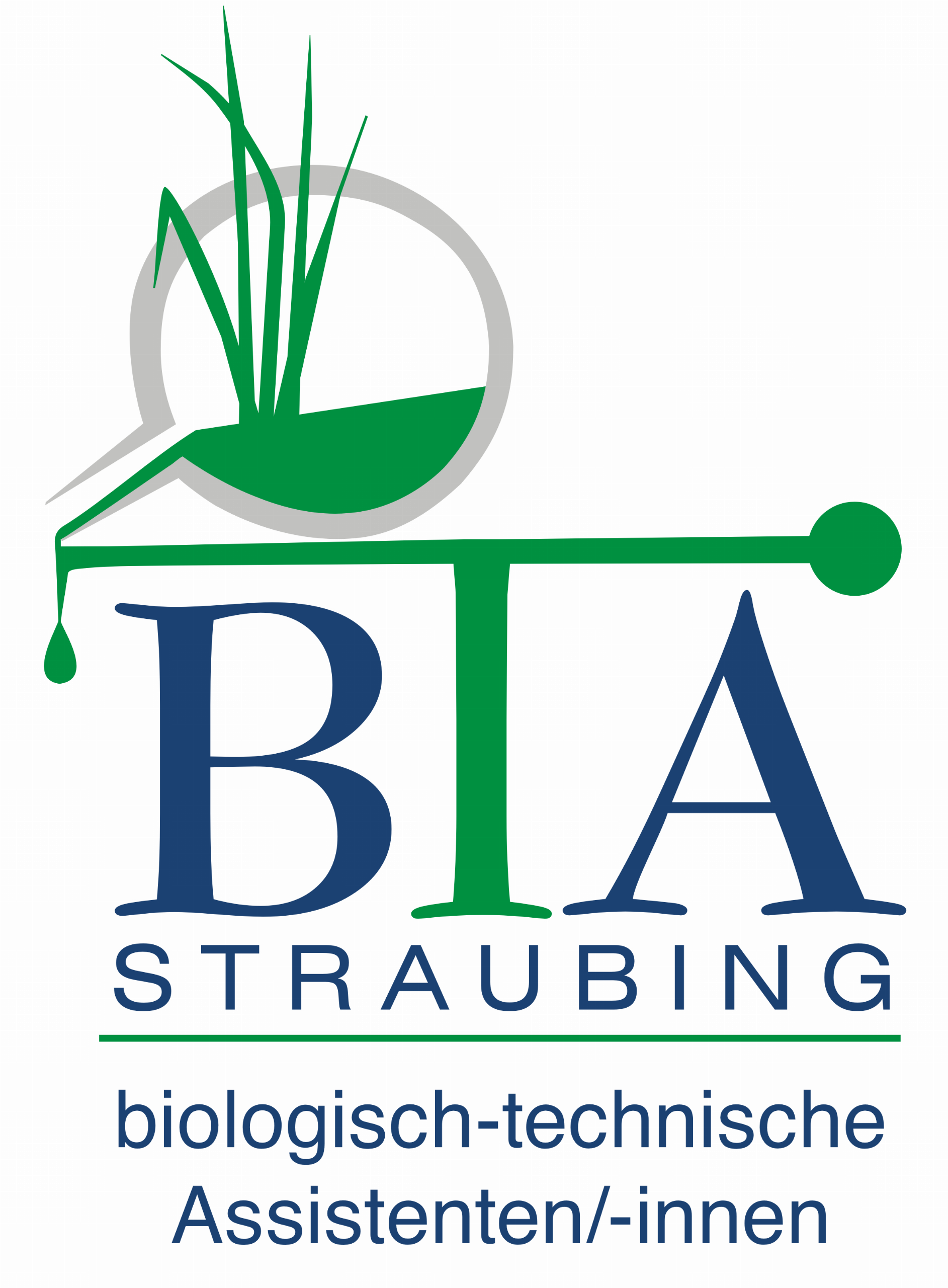 BTA-Straubing Logo neu.png