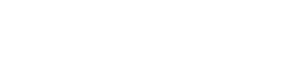 Berufserfahrene und Führungskräfte