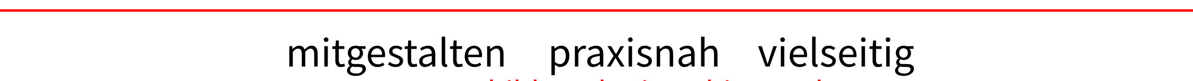 Header Fusszeile_mitgestalten_praxisnah_vielseitig - im Entwurf - 15.03.2024.png
